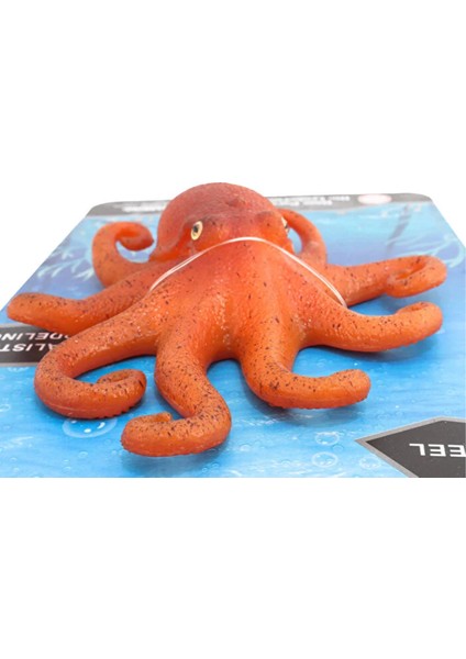 Strech Ahtapot fiyatları