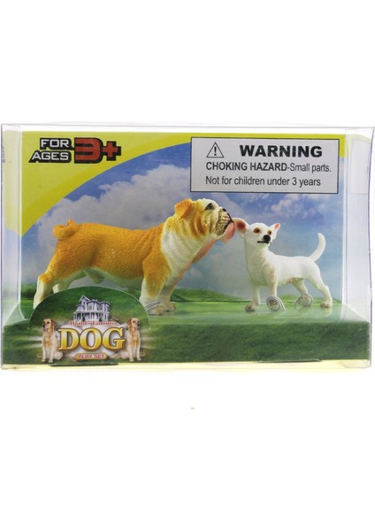 Buldog ve Şivava (Chihuahua) Model Hayvan Köpek