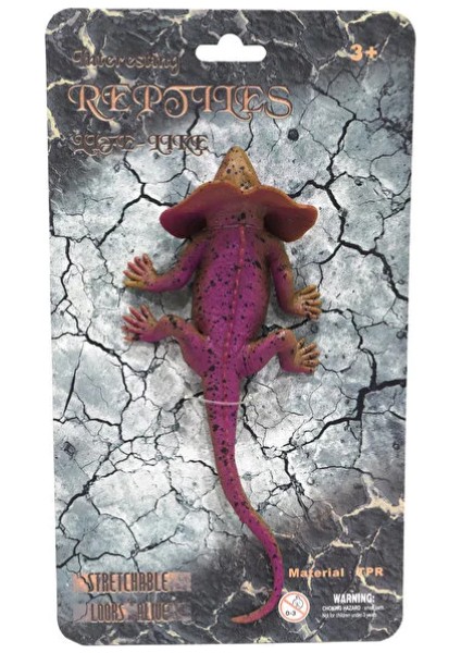 Strech Mor Kertenkele modelleri