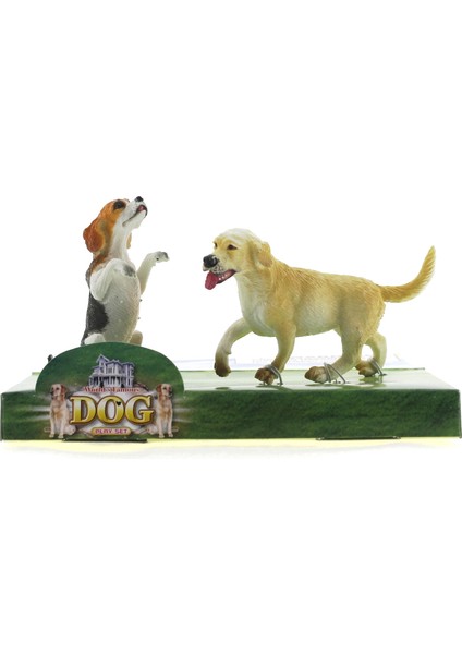 Beagle ve Labrador Retrieve Model Hayvan Köpek
