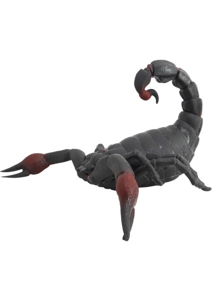 Strech Kahverengi Akrep modelleri