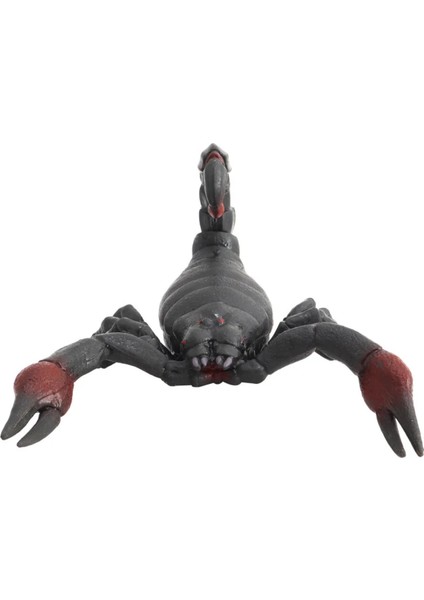 Strech Kahverengi Akrep fırsatları