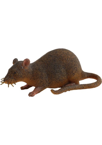 Strech Kahverengi Fare fırsatları