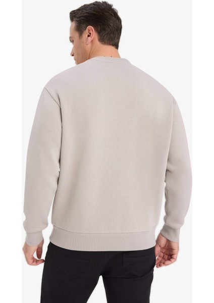 Relax Fit Bisiklet Yaka Kalın İçi Yumuşak Tüylü Basic Düz Sweatshirt T5139AZ25AU indirimleri