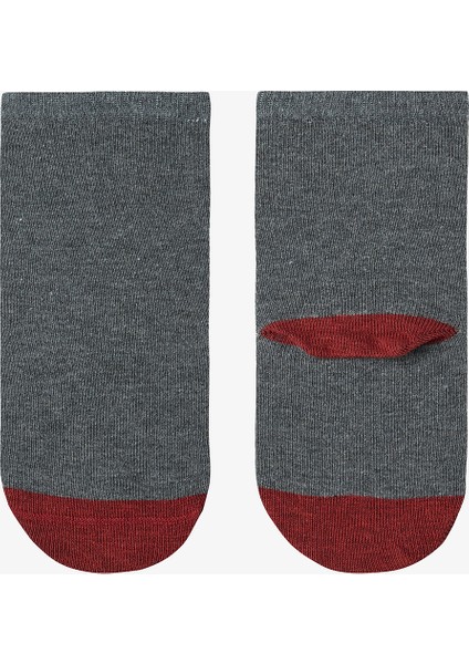 Erkek Çocuk T-Rex Dinozor Desenli 3'lü Soket Çorap fırsatları