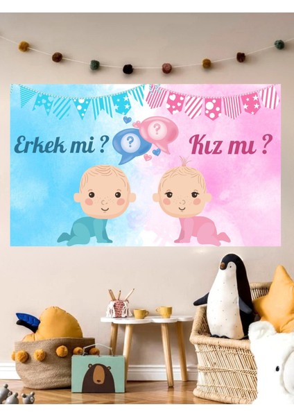 Erkek Mi Kız Mı Cinsiyet Temalı Özel Cinsiyet Afişi Arka Fonu 60X100 Vinil Branda Pankart Süsü