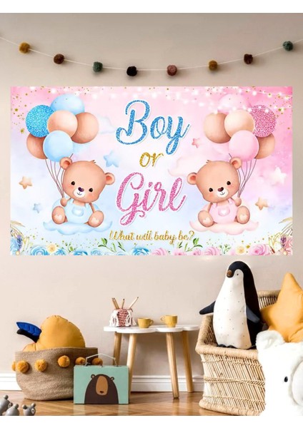Boy Or Girl Cinsiyet Temalı Özel Cinsiyet Afişi Arka Fonu 60X100 Vinil Branda Pankart Süsü