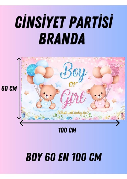 Boy Or Girl Cinsiyet Temalı Özel Cinsiyet Afişi Arka Fonu 60X100 Vinil Branda Pankart Süsü fiyatları