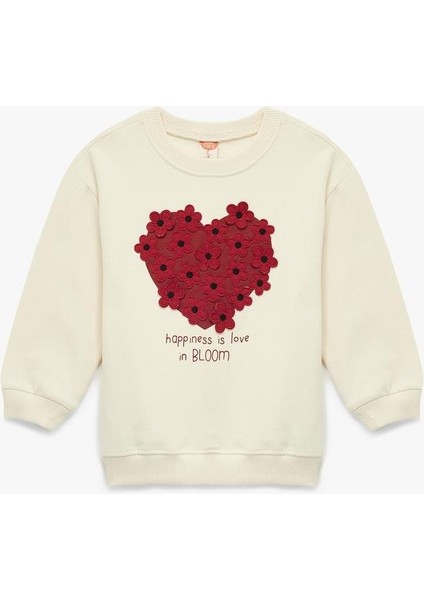 Kız Bebek Şardonlu Uzun Kollu Bisiklet Yaka Kalp Baskılı Çiçek Aplikeli Pamuklu Sweatshirt (Aw 378)