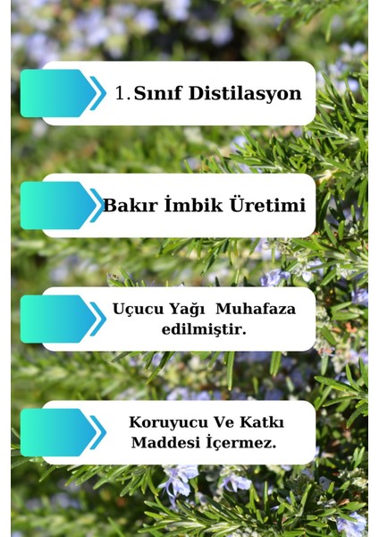 Biberiye Suyu 300 ml - (3 x 100ML ) Sebum/yağ Dengeleyici Tonik fiyatları