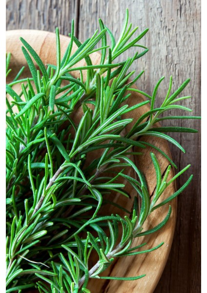 Biberiye Suyu 300 ml - (3 x 100ML ) Sebum/yağ Dengeleyici Tonik modelleri