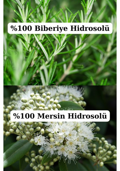 Gözenek Sıkılaştırıcı Yüz Bakım Seti- Biberiye, Ölmez Çiçek ve Mersin Suyu (3 x 100ML) Doğal modelleri