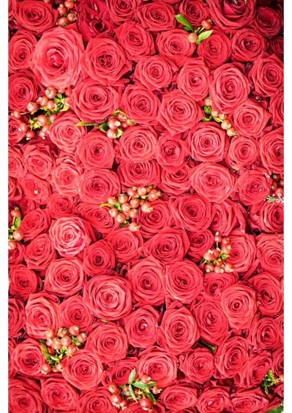 Gül Suyu 200ML- (Yağı Alınmamış) Saf Tam Yağlı Gül Hidrosolü (2 x 100 Ml) modelleri