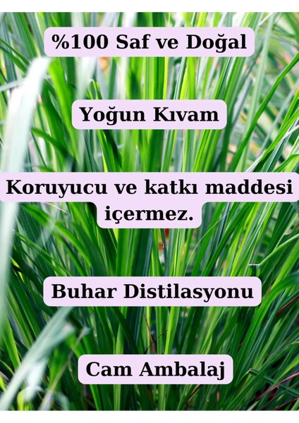 %100 Saf Limon Otu Uçucu Yağı - (10 Ml) modelleri