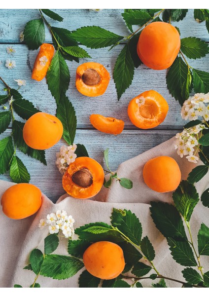 %100 Saf Kayısı Çekirdeği Yağı - 20 ml modelleri