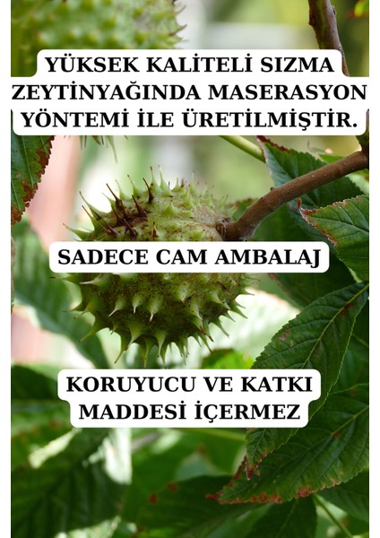 At Kestanesi Yağı (20 Ml+ 20ML) - Doğal At Kestanesi Yağı fiyatları
