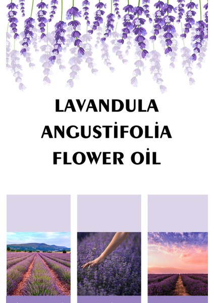 Lavanta Yağı (2 x 10 Ml)- %100 Seyreltilmemiş, Doğal Lavanta Uçucu Yağı fiyatları