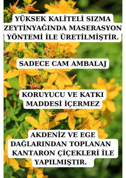 Sarı Kantaron Yağı - (20 Ml) fiyatları