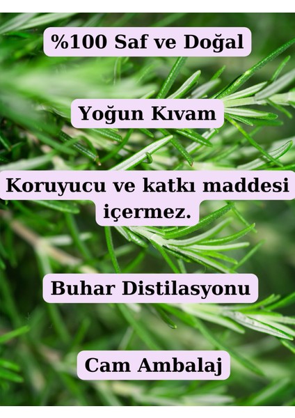 Çay Ağacı Yağı (2X10ML) - %100 Seyreltilmemiş Doğal Çay Ağacı Uçucu Yağı fiyatları