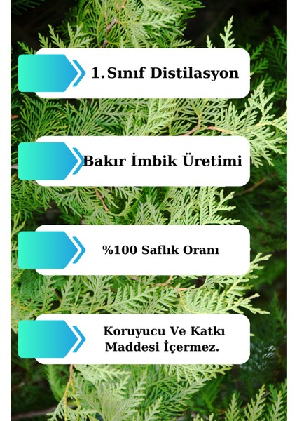 Sedir Ağacı Yağı - 10 ml (Seyreltilmemiş, Doğal Uçucu Yağ) fiyatları