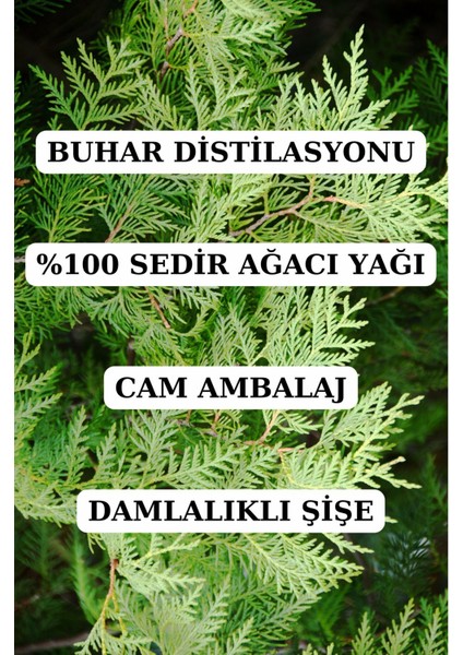 Sedir Ağacı Yağı - 10 ml (Seyreltilmemiş, Doğal Uçucu Yağ) modelleri