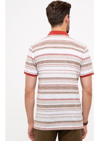 Erkek Kiremit Regular Fit Polo Yaka Tişört 50206204-VR031 modelleri