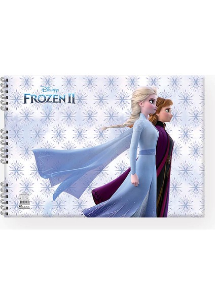 300215-92 25X35 15YP Frozen Iı Resim Defteri modelleri
