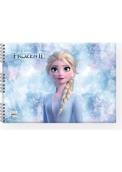 300215-92 25X35 15YP Frozen Iı Resim Defteri fırsatları
