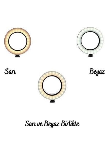 Buffer® 8inç 20CM Youtube Instagram Tiktok Selfie Stüdyo Video Fotoğraf Ring Light Tripod LED Halk indirimleri