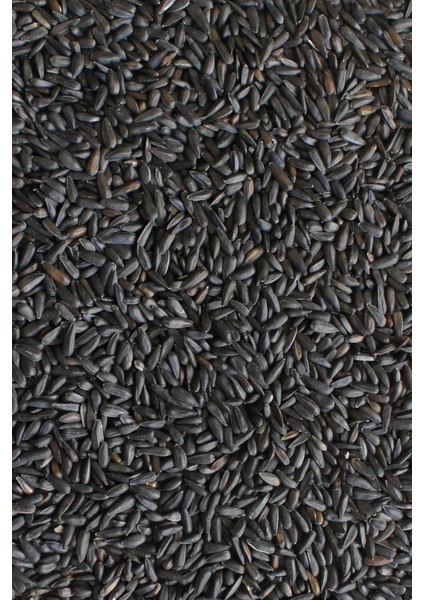 Gold Wings Kuşlar Için Nijer Tohumu 250 gr - Kanarya,ispinoz ve Ötücü Kuş Yemi +Mamalık Hediye modelleri