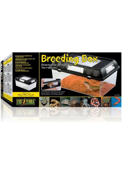 Sepetim Exo Terra Breeding Box M
