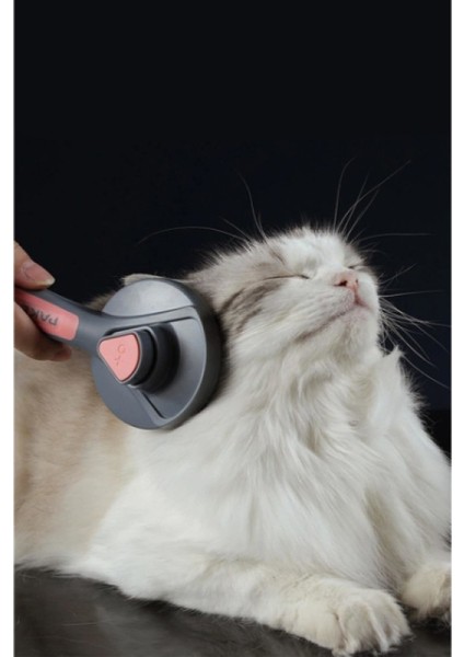 Otomatik Tuşlu Kendini Temizleyen Kedi Köpek Tarağı modelleri