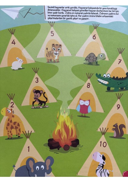 Okul Öncesi Hayvan Dostlarla Matematik Yolculuğu modelleri