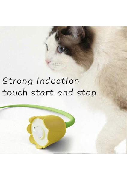 Hareketli Çiçek Kedi Oyuncağı modelleri