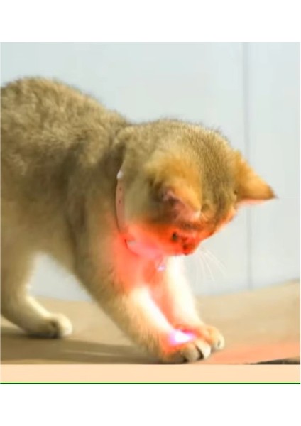 Otomatik Lazer Oyun Tasması