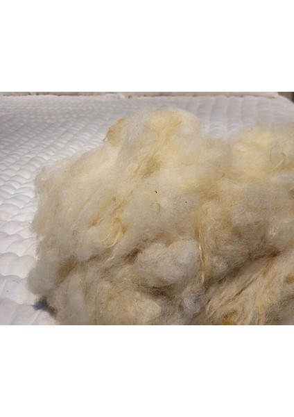 Doğal Yıkanmış Koyun Yünü 1000GR fiyatları
