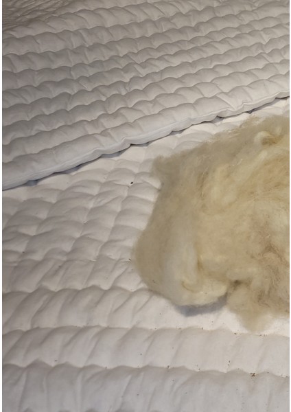 Doğal Yıkanmış Koyun Yünü 1000GR fırsatları