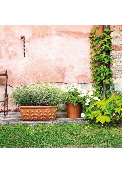 Cassetta Roma 54 cm Toprak Saksı Terracota fiyatları