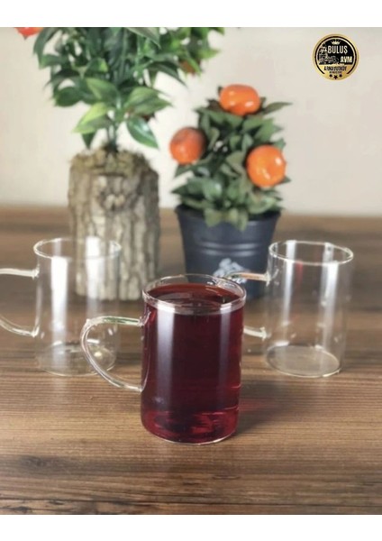 3 Lü Termisil Isıya Dayanıklı Cam Bardak 200 ml fiyatları