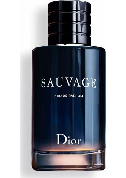 Dior Sauvage Erkek 100 ml Edp