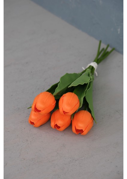 Turuncu 5’li Lale Demet fırsatları