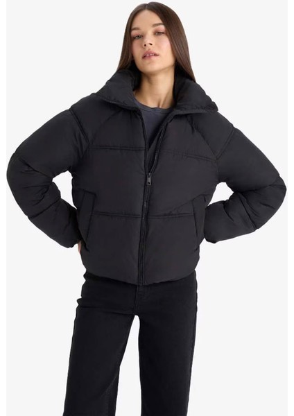 Su Geçirmez Regular Fit Dik Yaka Fermuarlı Şişme Mont E8690AX25AU modelleri