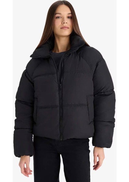 Su Geçirmez Regular Fit Dik Yaka Fermuarlı Şişme Mont E8690AX25AU fırsatları