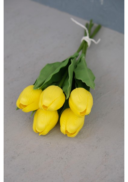 Sarı 5’li Lale Demet fırsatları