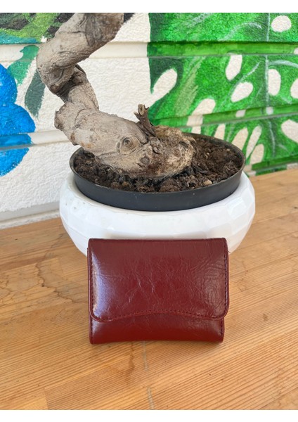 Olvera Deri Kartlık Cüzdan