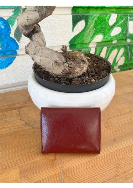 Olvera Deri Kartlık Cüzdan fiyatları