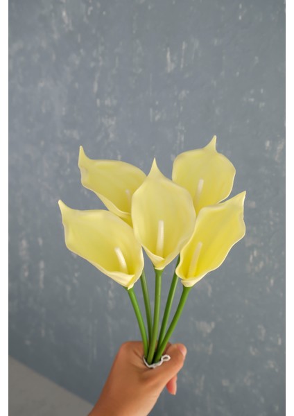 Açık Sarı 5’li Gala Demet