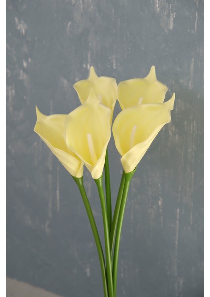 Açık Sarı 5’li Gala Demet fiyatları