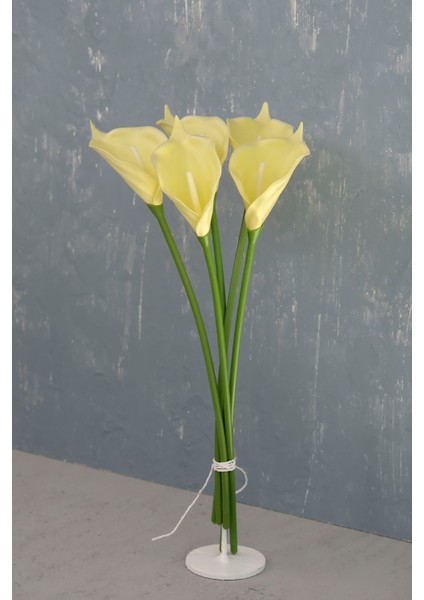 Açık Sarı 5’li Gala Demet fırsatları