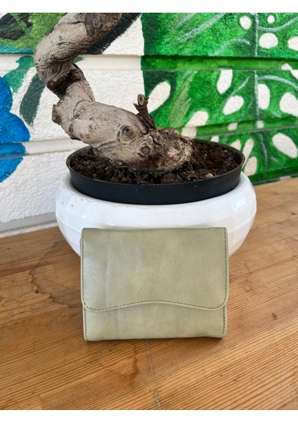 Olvera Deri Kartlık Cüzdan